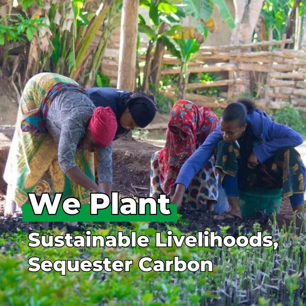 Plant 10 Trees for Our Journey – “Roots of Love”