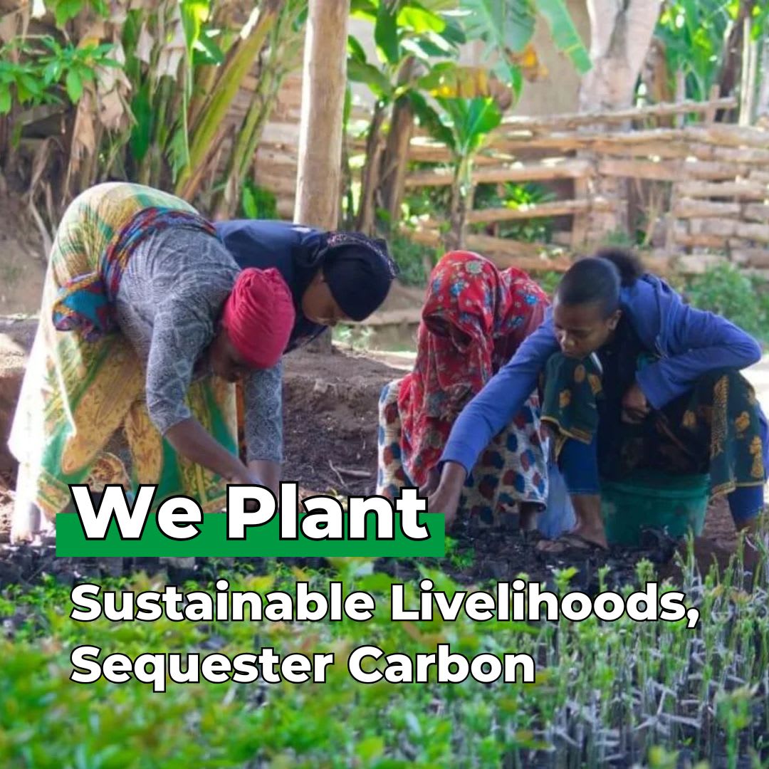 Plant 10 Trees for Our Journey – “Roots of Love”