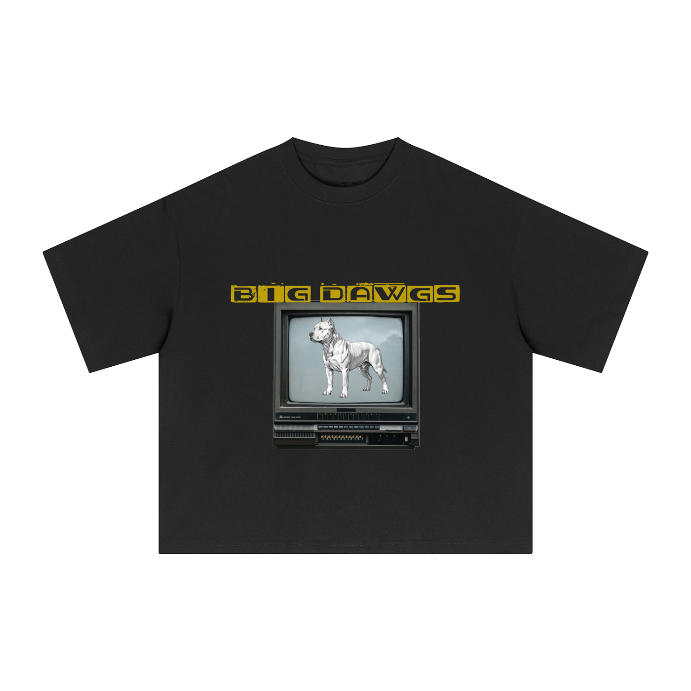 Essential Sorona Boxy T-Shirt
