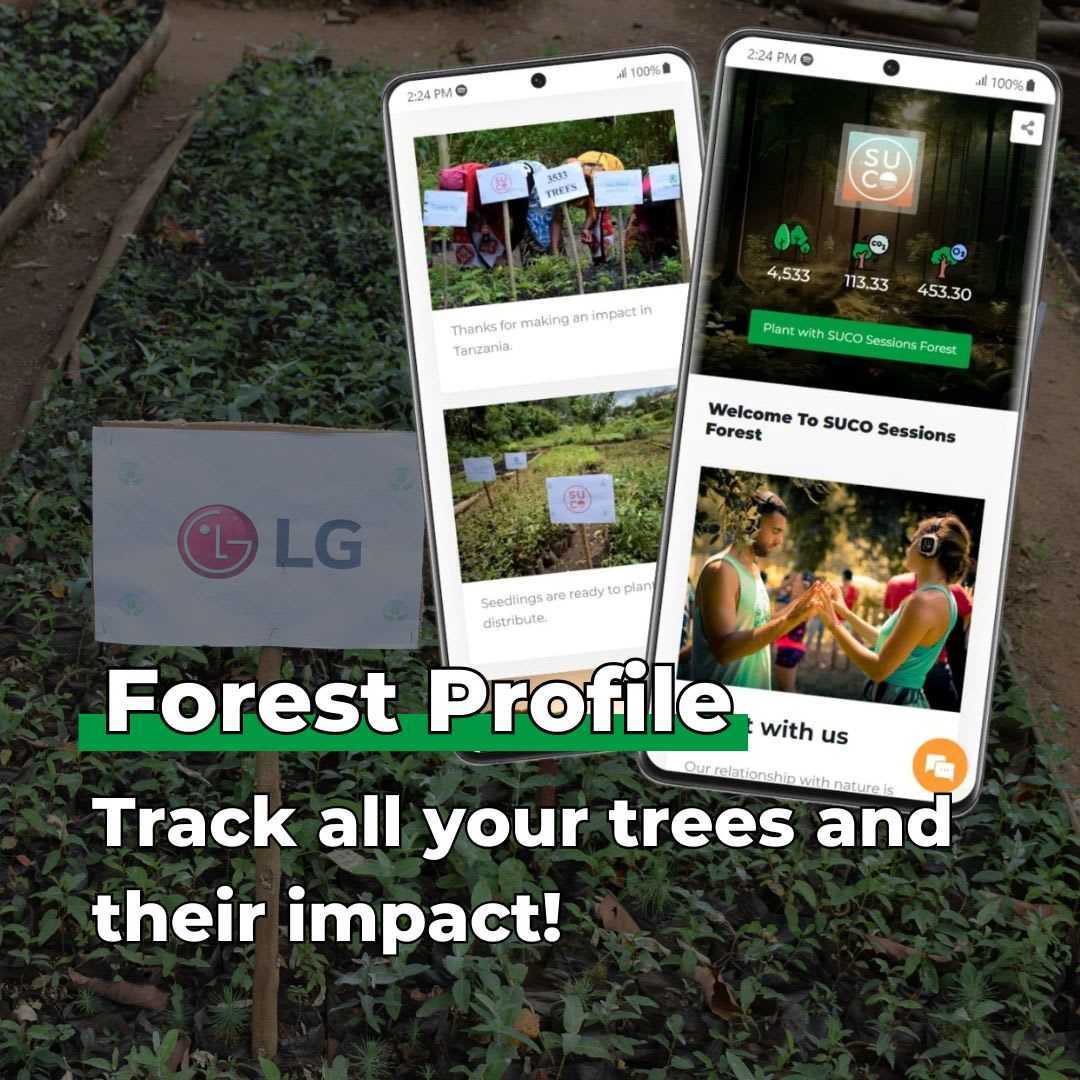 Plant 10 Trees for Our Journey – “Roots of Love”