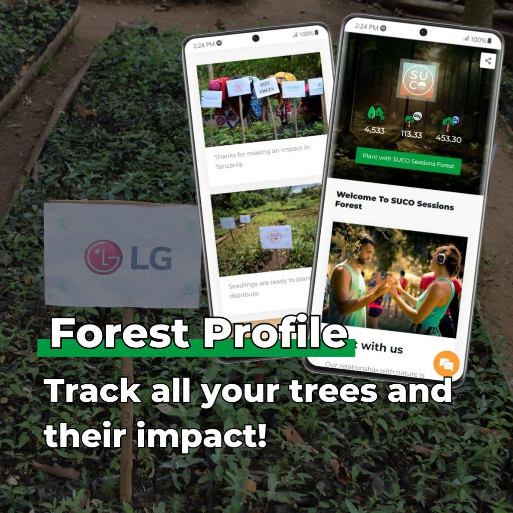 Keep going, keep growing - Plants 50 Trees