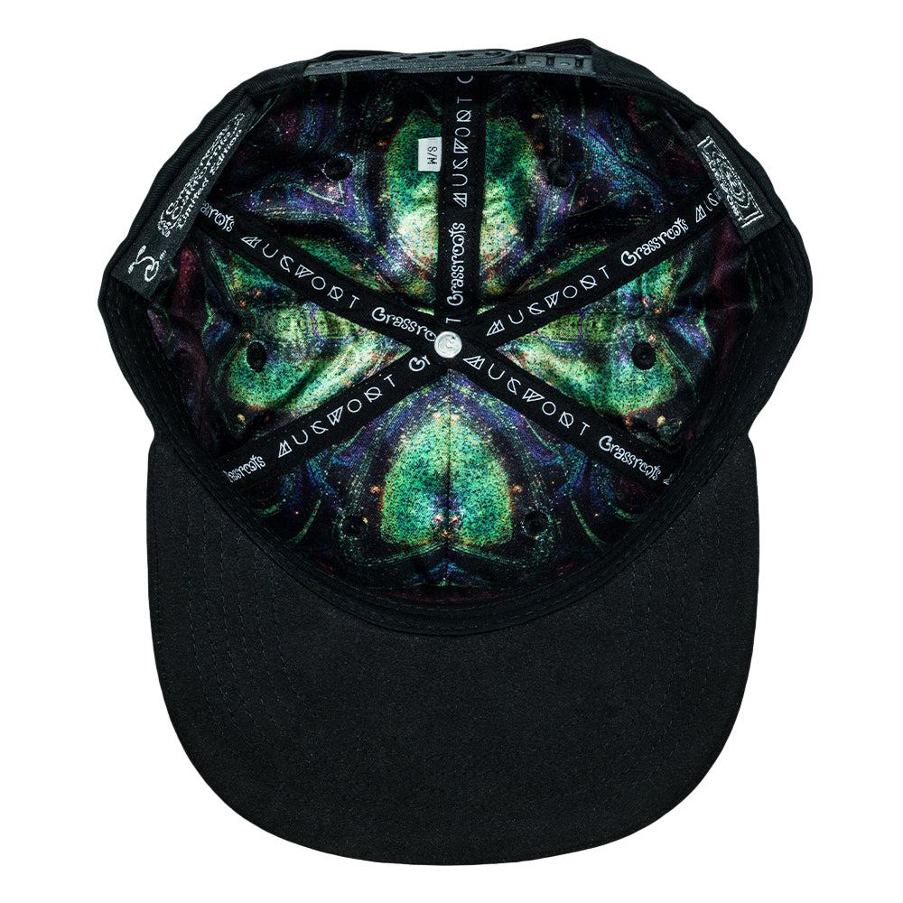 Mugwort Hummingbird Black Snapback Hat