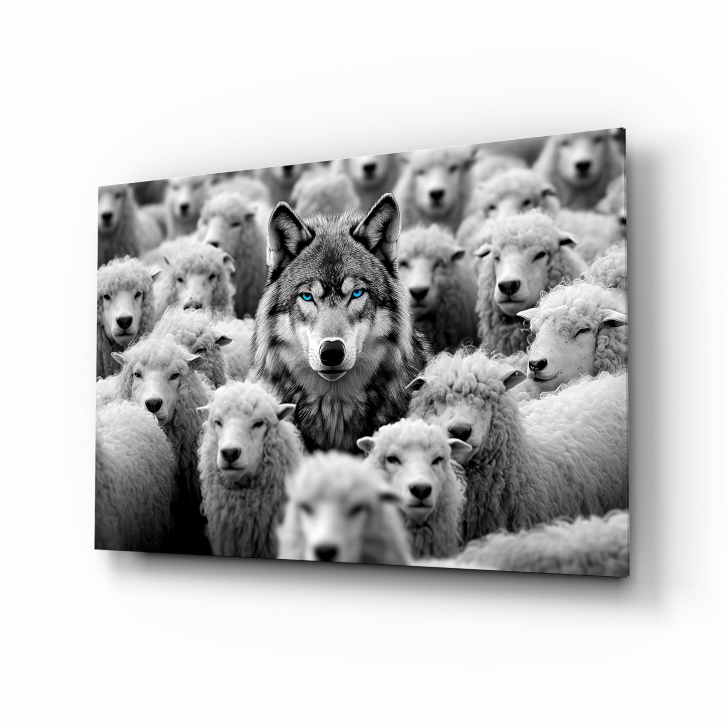 Wolf in Sheep's Clothing Glass Wall Art || Designer Collection-0