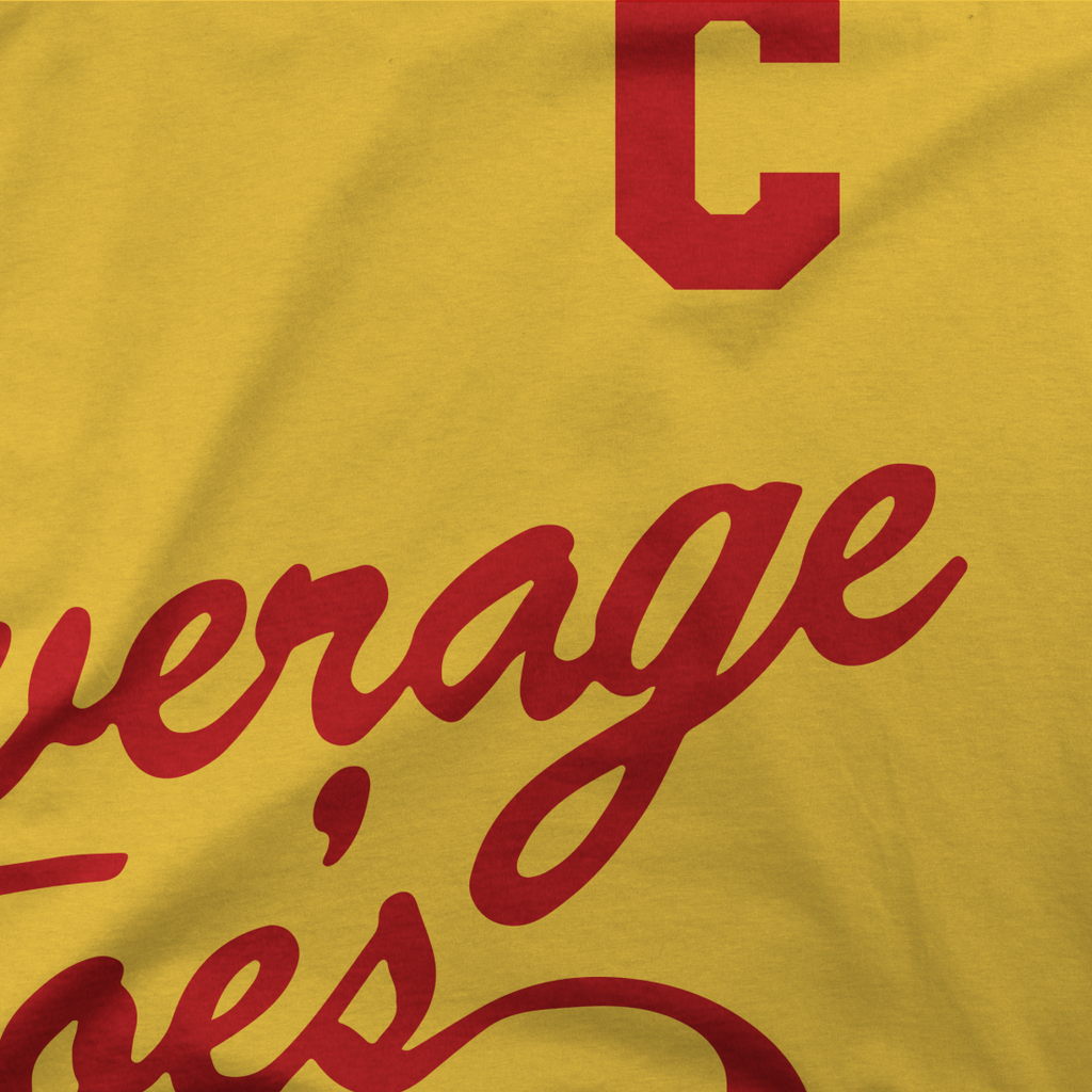 Average Joe's DodgeBall t-shirt