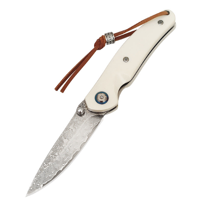 Damascus Steel Outdoor Folding Knife