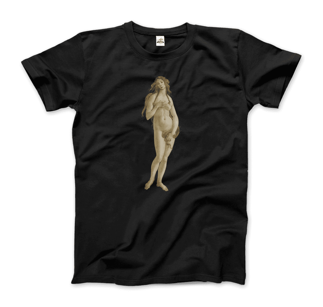Sandro Botticelli Venus (from the Birth of Venus) artwork t-shirt