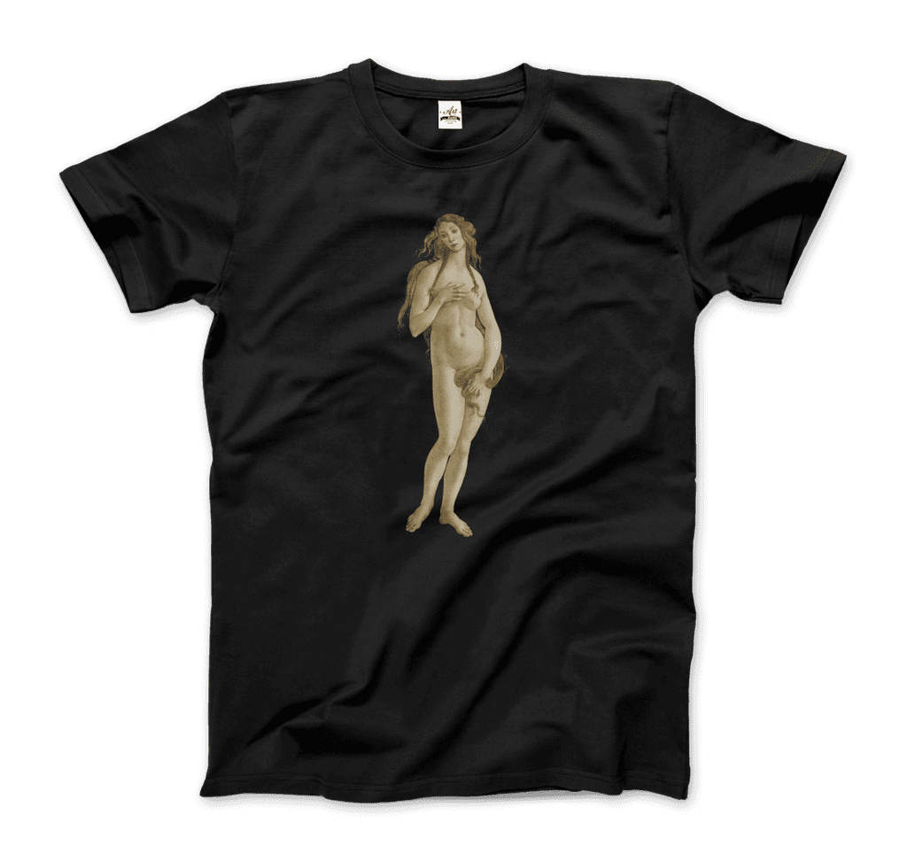 Sandro Botticelli Venus (from the Birth of Venus) artwork t-shirt