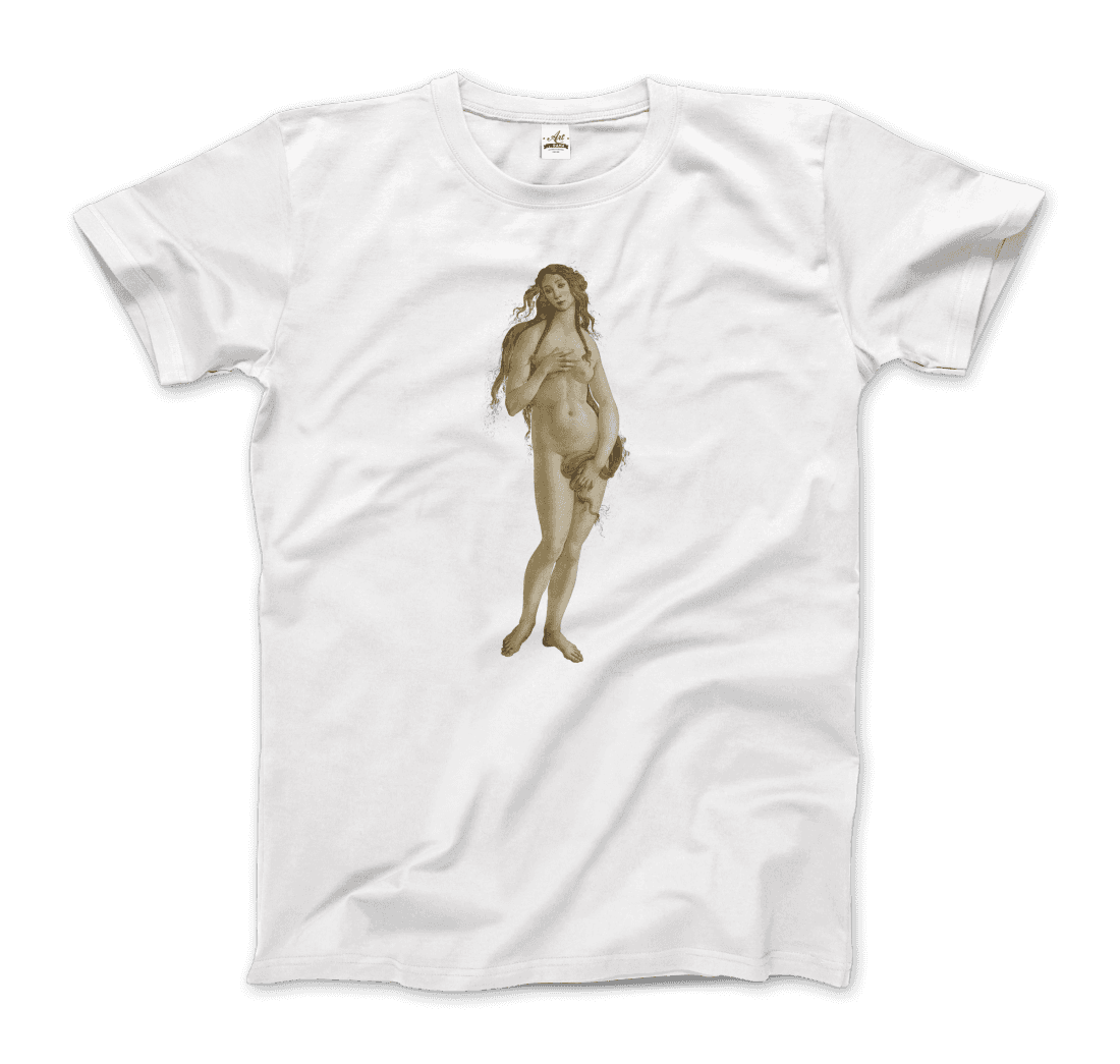 Sandro Botticelli Venus (from the Birth of Venus) artwork t-shirt